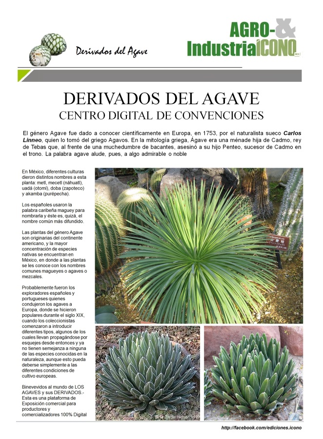 10-08-2016-cdc-derivados-del-agave2