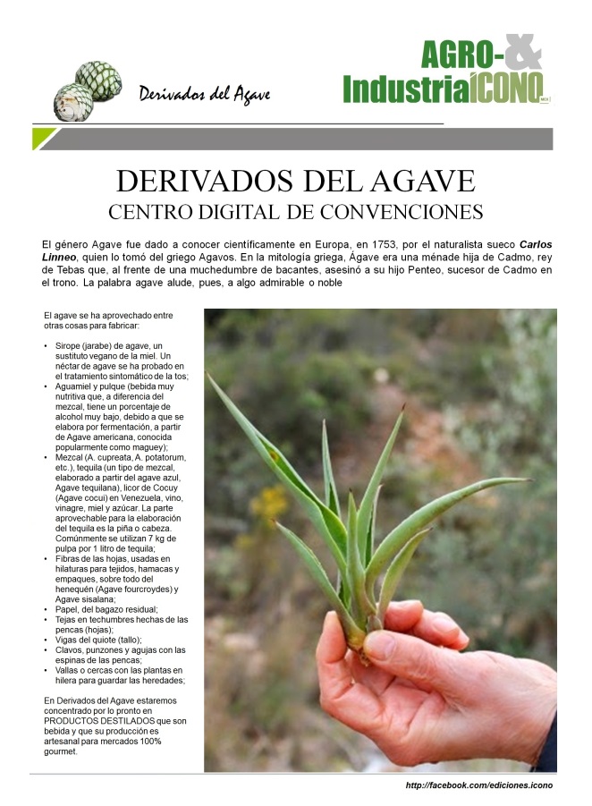 10-08-2016-cdc-derivados-del-agave3