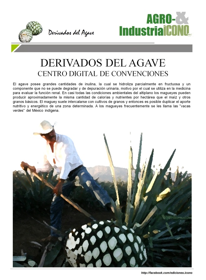 10-08-2016-cdc-derivados-del-agave4